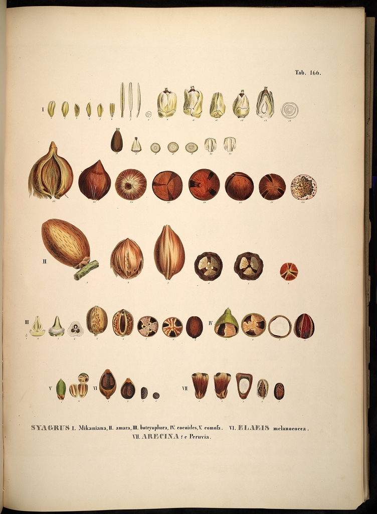 'Jerry Solinas deserves a raise' with Steve Weis
